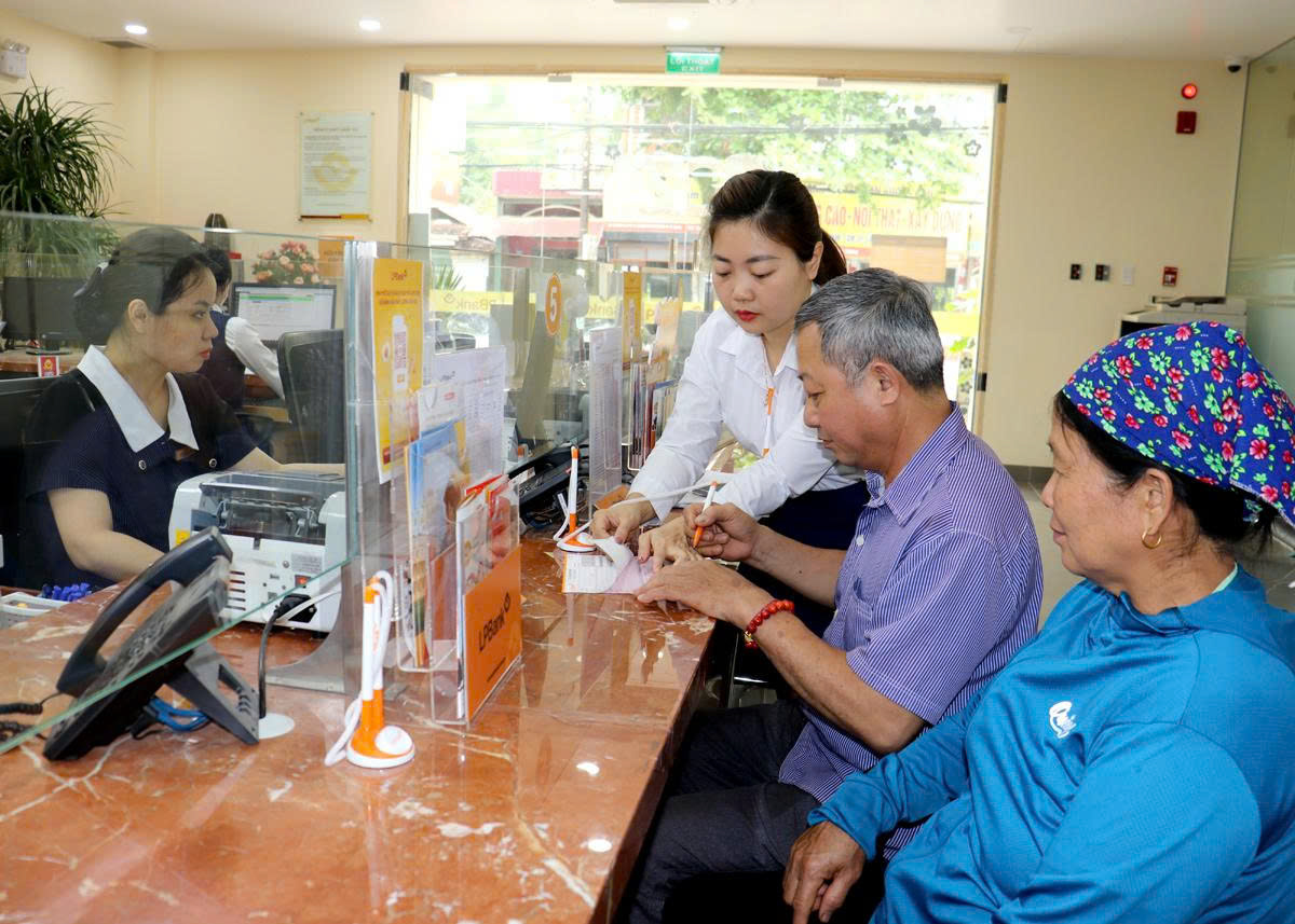 Nhiều người cao tuổi gặp khó khăn trong việc làm hồ sơ vay vốn